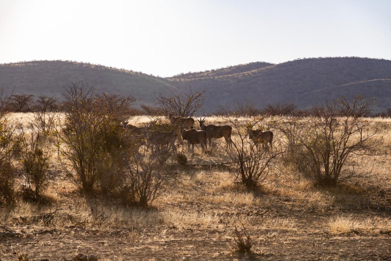 Ugab Game Farm & Lodge Vingerklip Εξωτερικό φωτογραφία