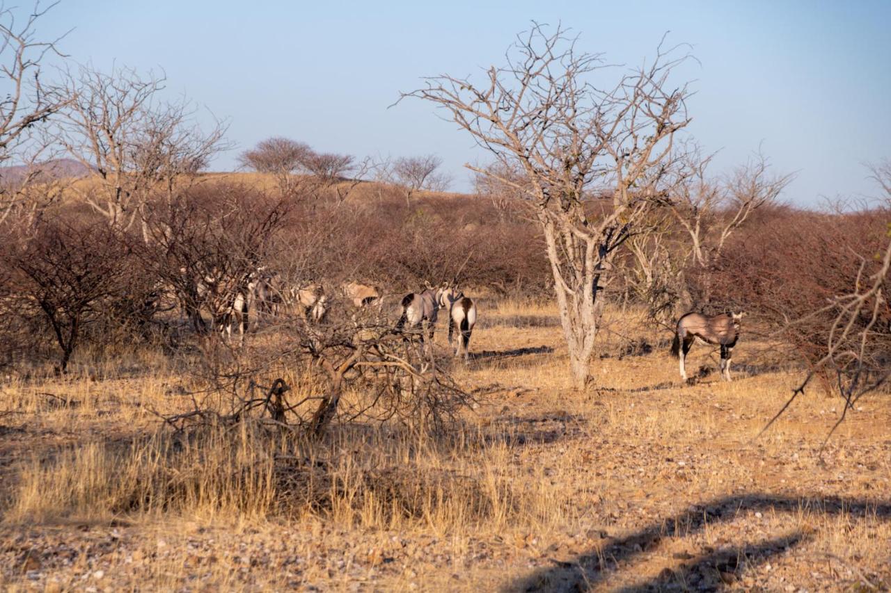 Ugab Game Farm & Lodge Vingerklip Εξωτερικό φωτογραφία