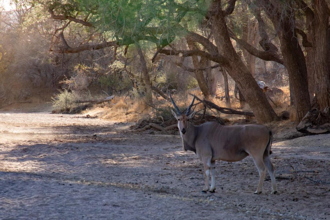 Ugab Game Farm & Lodge Vingerklip Εξωτερικό φωτογραφία