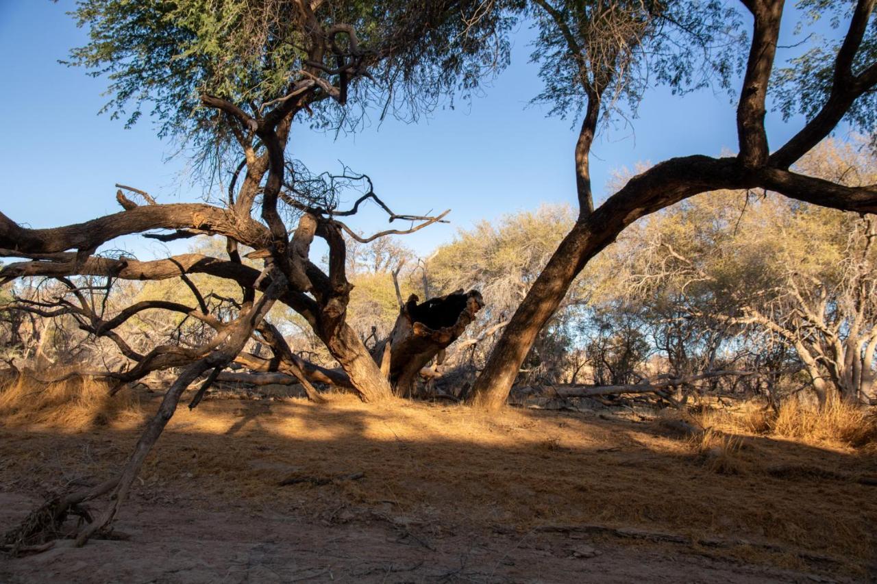 Ugab Game Farm & Lodge Vingerklip Εξωτερικό φωτογραφία