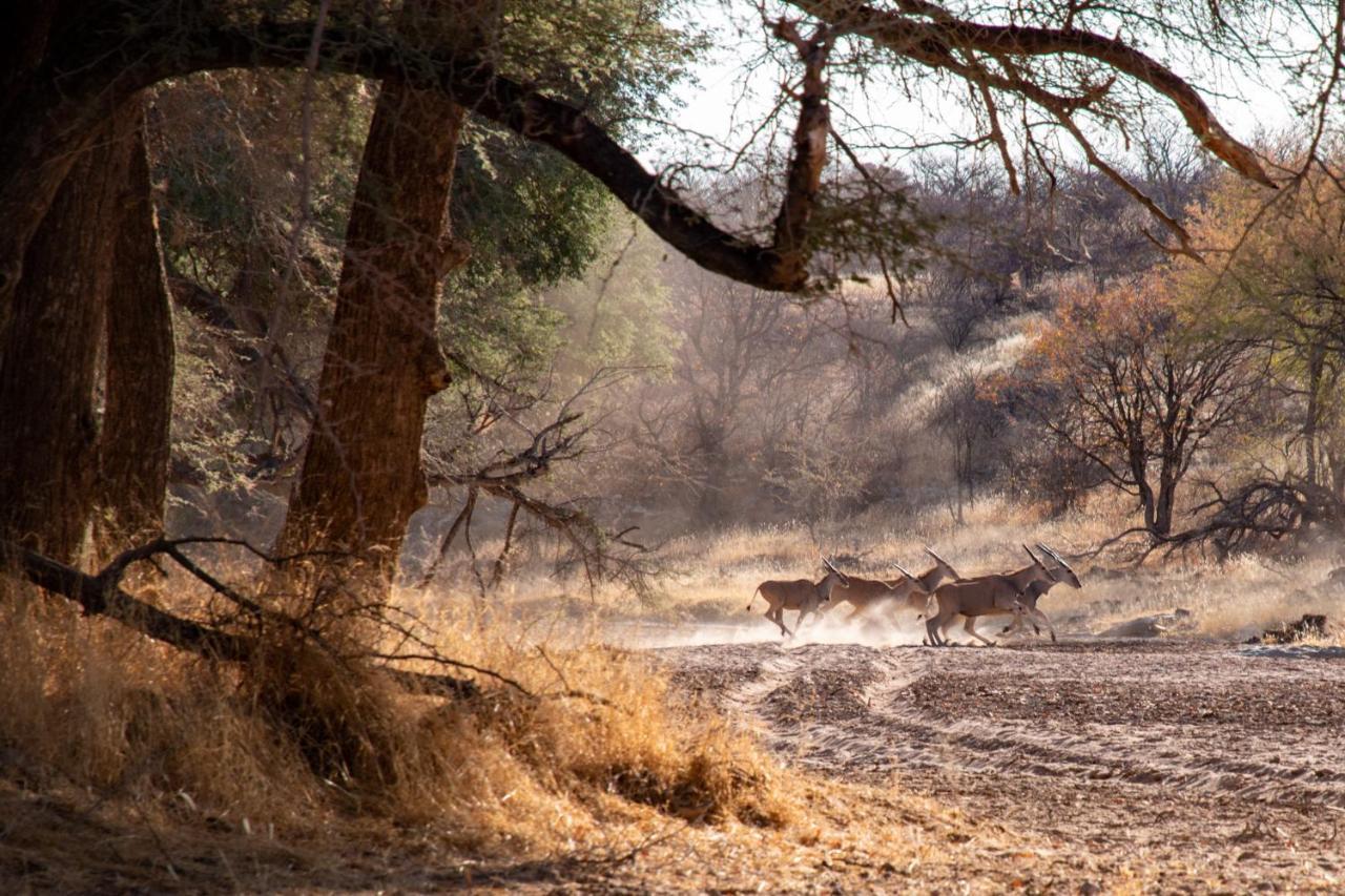 Ugab Game Farm & Lodge Vingerklip Εξωτερικό φωτογραφία