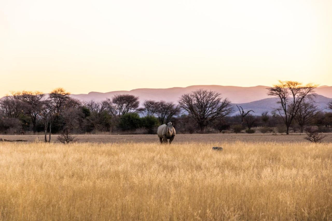 Ugab Game Farm & Lodge Vingerklip Εξωτερικό φωτογραφία