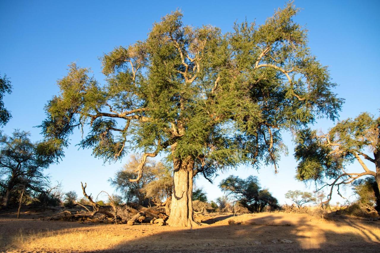 Ugab Game Farm & Lodge Vingerklip Εξωτερικό φωτογραφία
