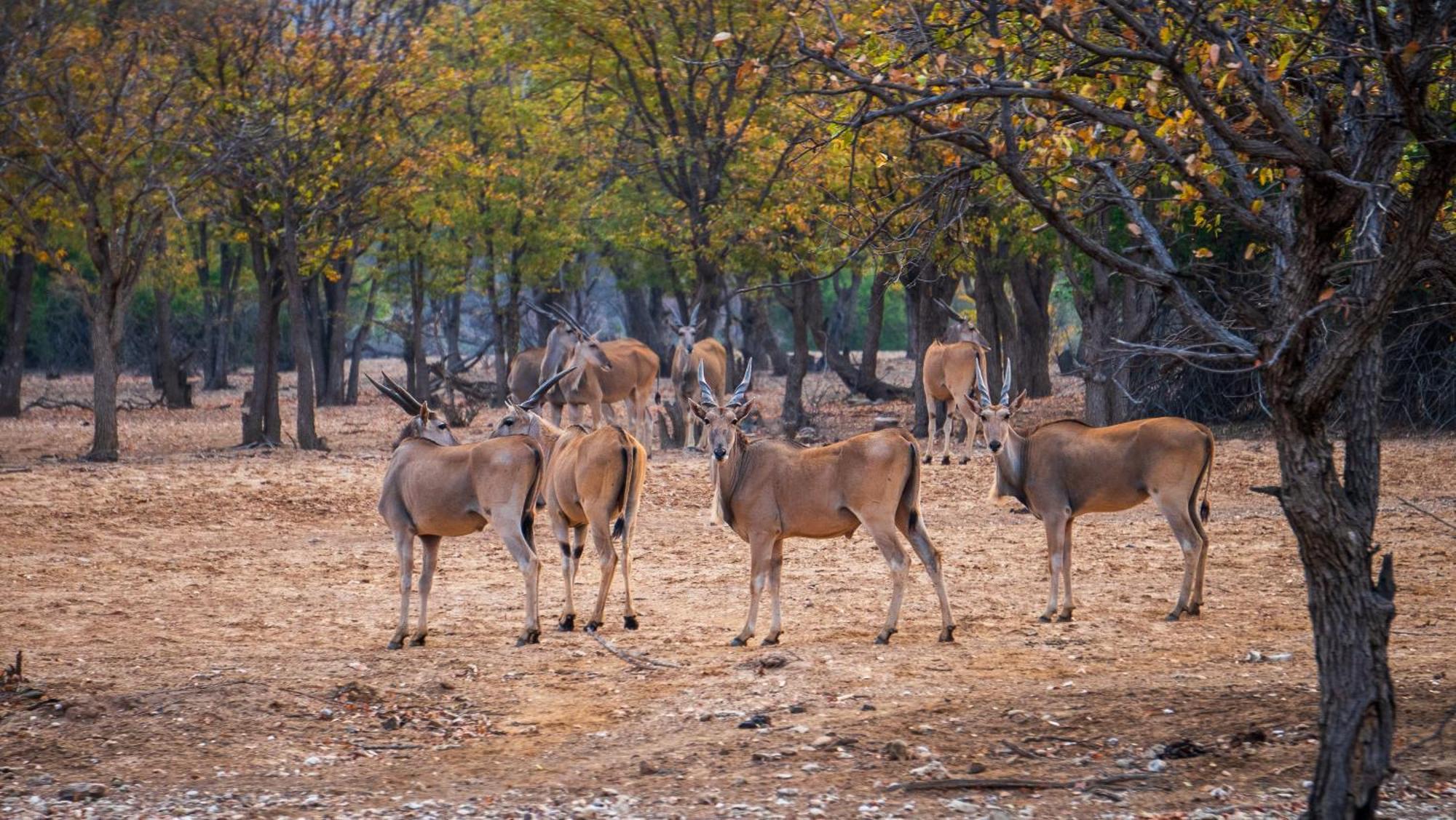 Ugab Game Farm & Lodge Vingerklip Εξωτερικό φωτογραφία